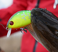 Fishing Bet-A-Shad 070 Fire Tiger