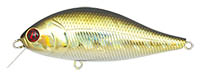 Bet-A-Shad 222 left